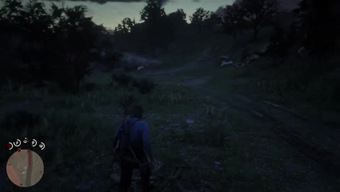 Des chevaux.. sauvage ?