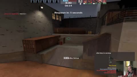 Sting like a beeeeee