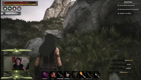 EpicCatDab