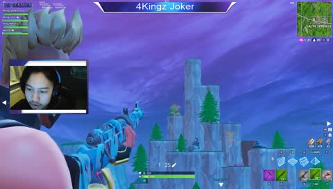 snipe