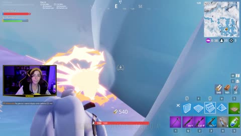 La morte del re leone..