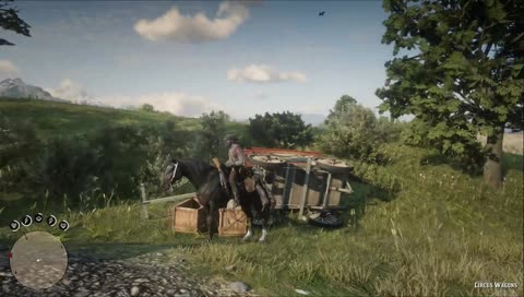 Just a normal horse walking like normal horses walk.