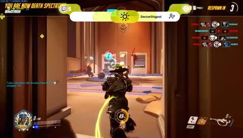 bear gets hammered down