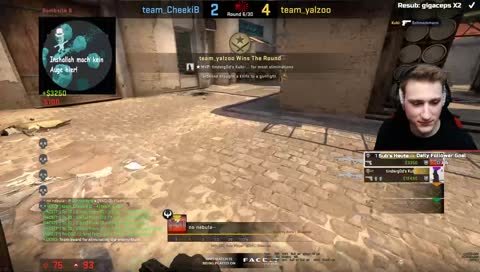yalzoo mcdonalds