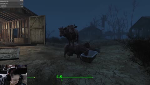 Flying Cow