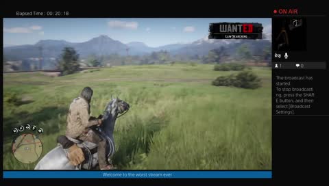 How not to play red dead redemption 2 lol