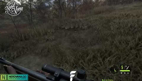 baby deer vs. bob