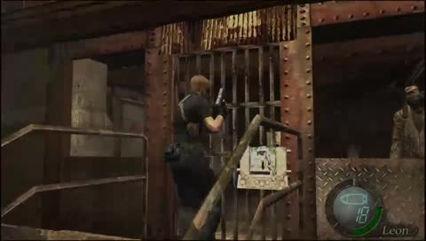 monkey