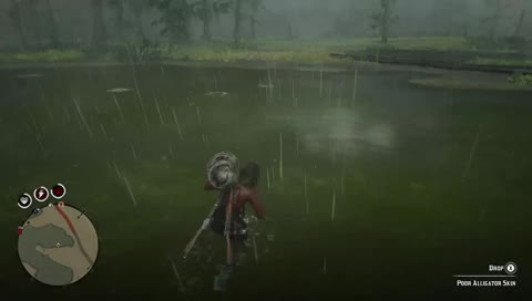 free fish! red dead 2