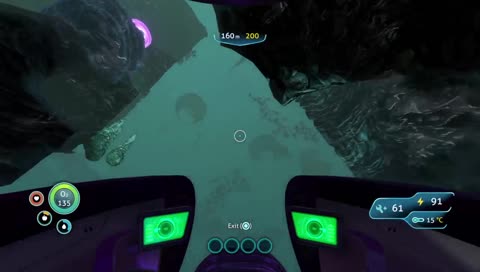 From land shark to dolphin
