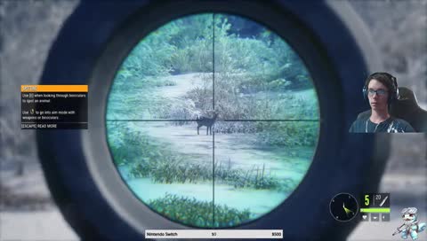 first shot