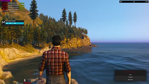 10/10 dive