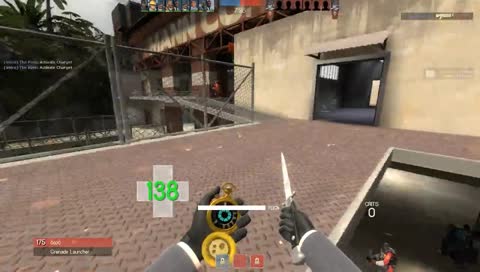 ragdoll