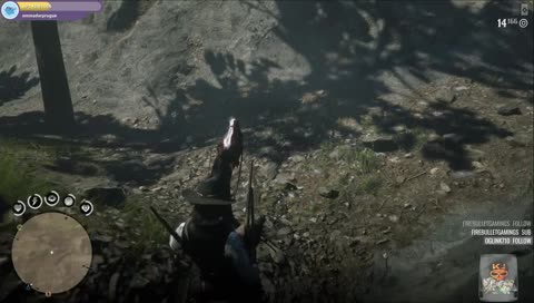 dam trees jumped out at me 