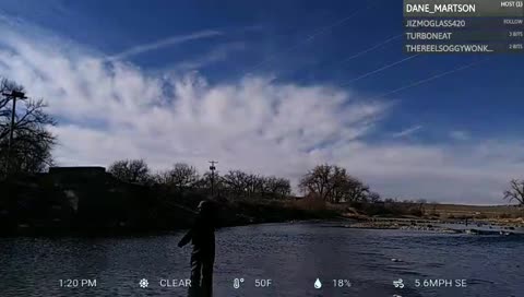 first fish on the fly!!!