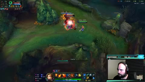 amuflasherror