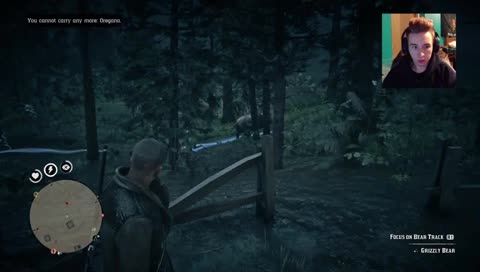 American brown bears... fast kill
