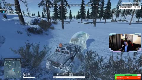 Mounting a polar bear...