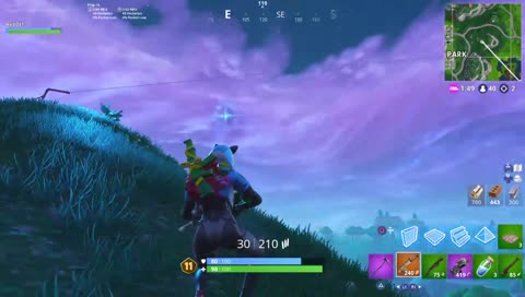 FORTNITE TROLL VICTIM