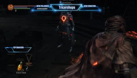 You love baby bears?