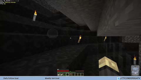 Pro Minecrafter