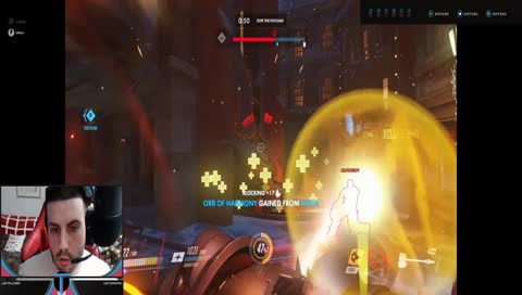 Mike Hawk is sofa king small!