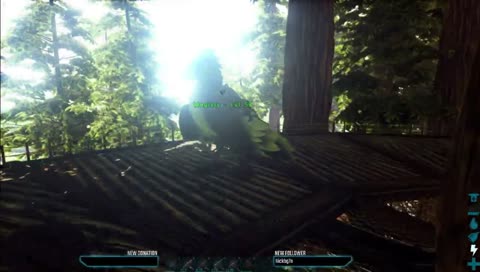 There is a hole in the wall