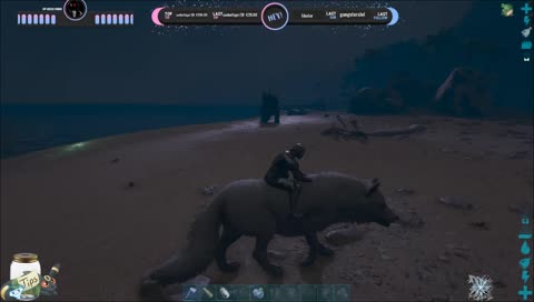 Luftpolsterfolie life