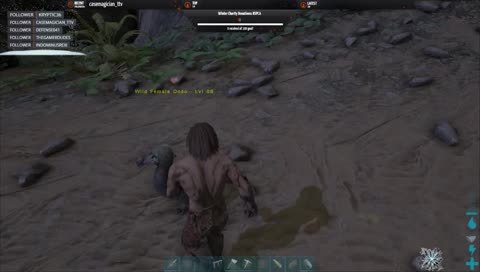 Female dodo genocide! PROOF