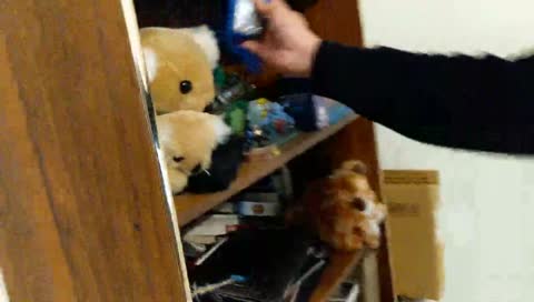 dad is the next hokage