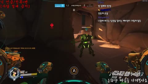 내가 개가된다!