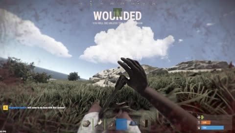 wut