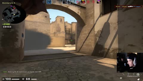 Palmen NoScope IGOR POV