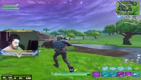 snipe