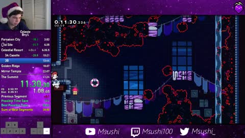 sushi's chokes in this level 