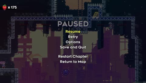 Professional Streamer