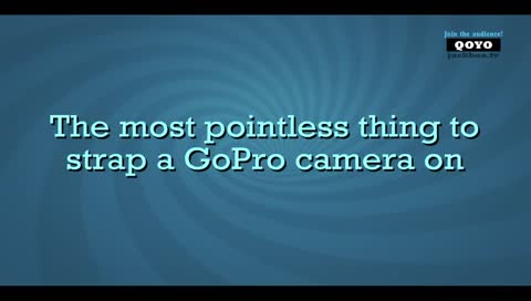 GoPros