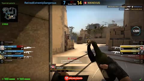 tu no has visto nada 