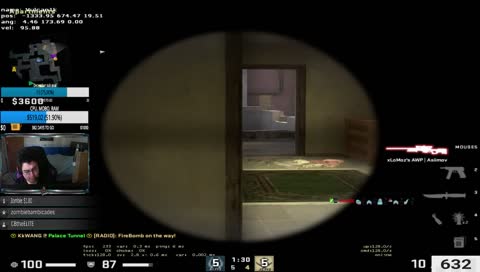 where shot go