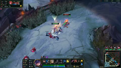 Zoe.exe has stopped working