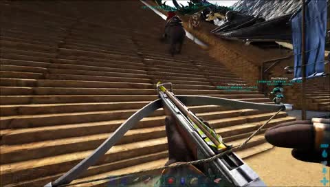 Top notch aim