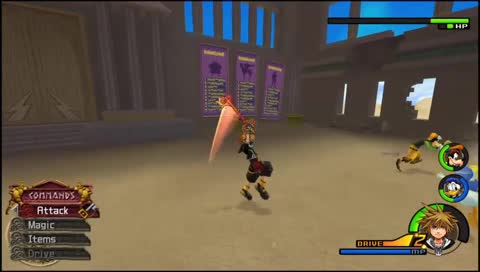 Sora's Hydra Head-Venture