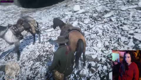 horse balls!