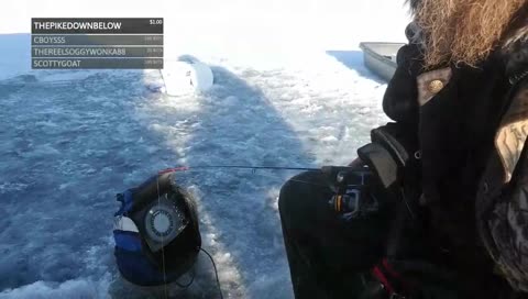 Morning fishing