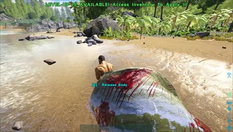 Seagull drops his fish