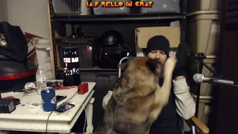 Chippies for the pupster