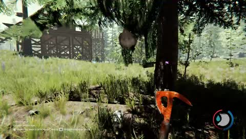 Drunk duck, rip