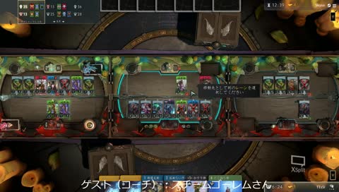 サンダーハイド輸送