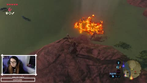 Horse learns that fire is hot