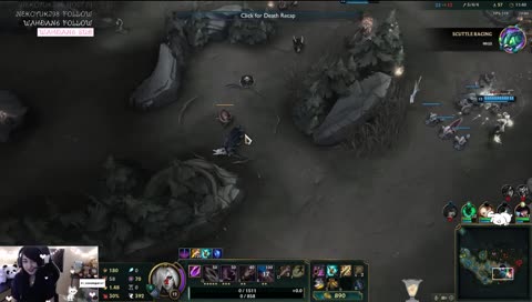 Squirrel Nuts are life